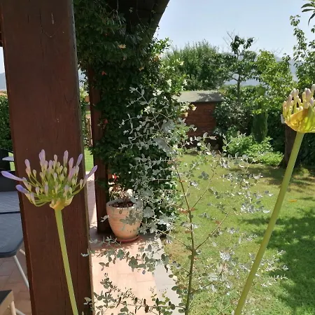 Il Tiglio Frühstückspension Padula