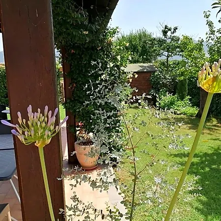 Bed & Breakfast Il Tiglio