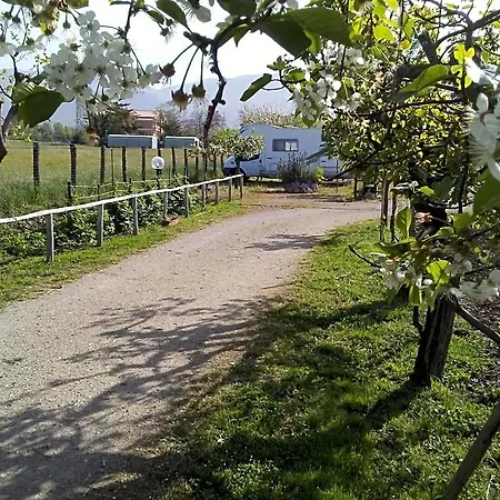 Il Tiglio Bed & Breakfast 3*