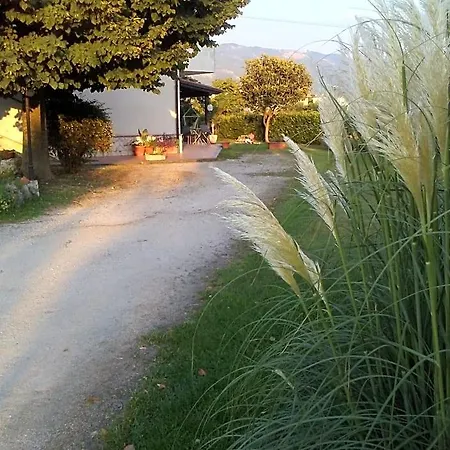 Il Tiglio Bed & Breakfast Padula