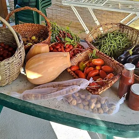 Il Tiglio Bed & Breakfast Padula