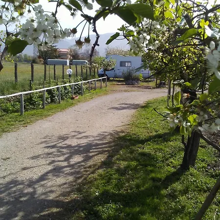 Il Tiglio Bed & Breakfast *